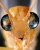 Uživatelský avatar