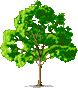 Uživatelský avatar